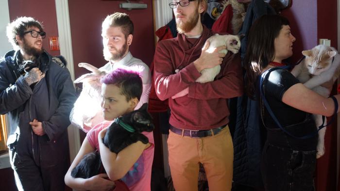 Spectacle de chats.